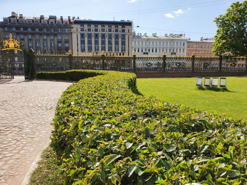 Shrub Maintenance detail